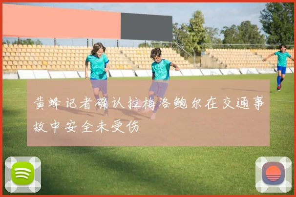 黄蜂记者确认拉梅洛鲍尔在交通事故中安全未受伤