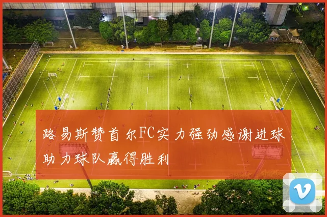 路易斯赞首尔FC实力强劲感谢进球助力球队赢得胜利